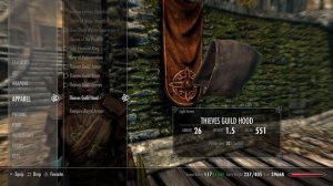 Skyrim Thief hood bug