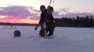 Здесь щуки сидят на зацепах. Таежные щи. Рыбалка удалась. Удачный выезд к машине. Часть 2