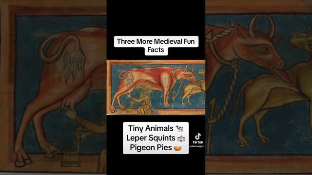 Mini Animals in Medieval Times #medival