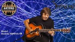 Пример игры на гитаре Shinobi HB401A