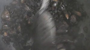 ШАМПИНЬОНЫ ЖАРЕНЫЕ В МАСЛЕ НА ЗИМУ. БЕЗ УКСУСА. БЕЗ СТЕРИЛИЗАЦИИ.