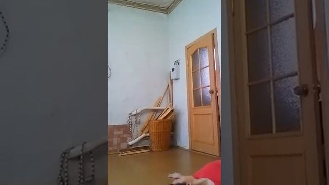 Прогибы, йога Айенгара, занятие 17.04