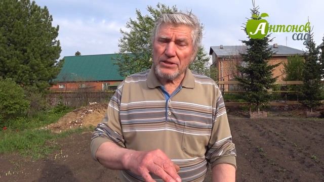 Выращивание картофеля | Как получить хороший урожай