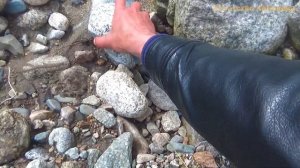 Какие богатые признаки золота в камнях