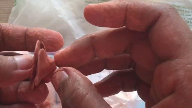 Rose flower with terracotta смотреть онлайн