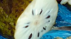 Гравиола Ученые обнаружили противораковый фрукт