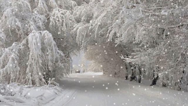 Мы стали чужими.. смотреть онлайн