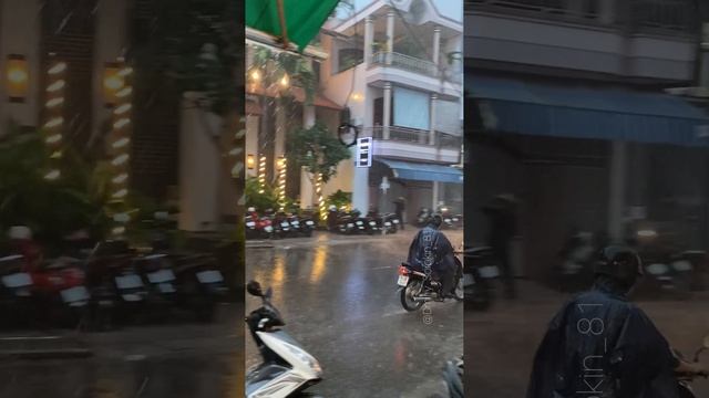 #Дождливый_день #дождь #rain #ливень #тропическийдождь #тропический_дождь #Дождливыйдень #дождец