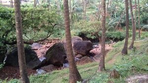 Махараштра, деревенский пляж