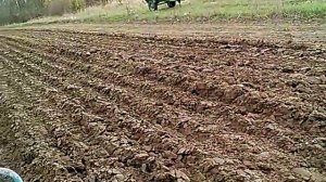 Пашем мотоблоком МТЗ -06 с адаптером.