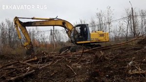 КОРЧУЕМ ДЕРЕВЬЯ РАСЧИЩАЕМ ПЛОЩАДЬ ЭКСКАВАТОРОМ ТВЭКС ЕК 18-20