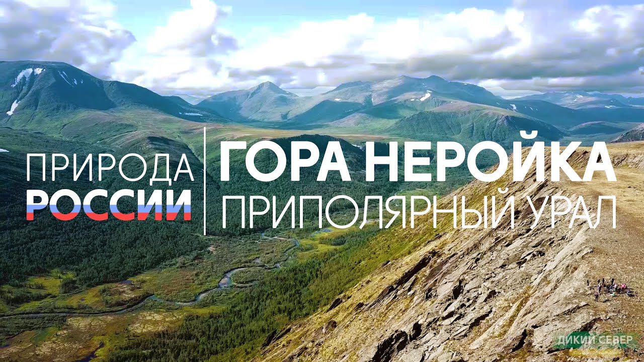 Дикая природа России #6 | Гора Неройка. Приполярный Урал