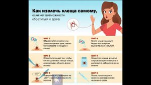 Лайфхак. Как извлечь клеща самому.