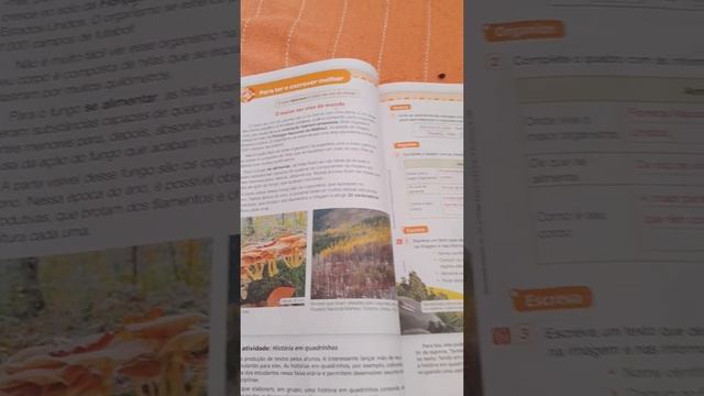 Aula de ciências 21 de julho. смотреть онлайн