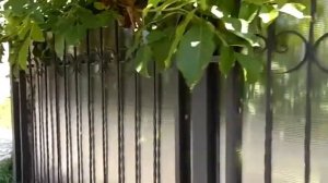 Дачный полупрозрачный забор из металла и поликарбоната
