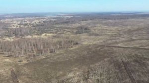 Год работы по введению залежных земель