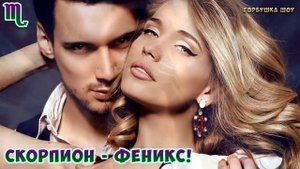 КАКОЕ ВАШЕ ТОТЕМНОЕ ЖИВОТНОЕ ПО ЗНАКУ ЗОДИАКА? Животное талисман по знаку зодиака