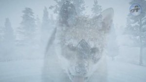 Беглые ворвались в таежную избу старика, но они и не догадывались, что будет дальше!