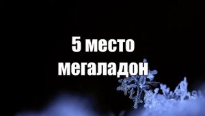▲Загадочные Животные▲