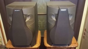 Sony SS-L90VH акустика