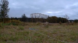 ЛОВЛЯ ЩЕГЛОВ НА большую СЕТЬ ТАЙНИК (40 КМ ОТ МОСКВЫ)