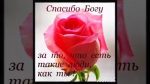 Субх ба хайр дустон!