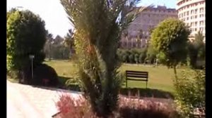 Concorde De Luxe . Turkey Antalya . New Year . (Новый Год в Турции , Анталия , Конкорд