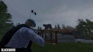 🔴 BARRET M82 И - ВССК «ВЫХЛОП» - ЧТО ЛУЧШЕ ПРОТИВ МЕДВЕДЕЙ ТЕСТ  [blackwood-dayz.ru]