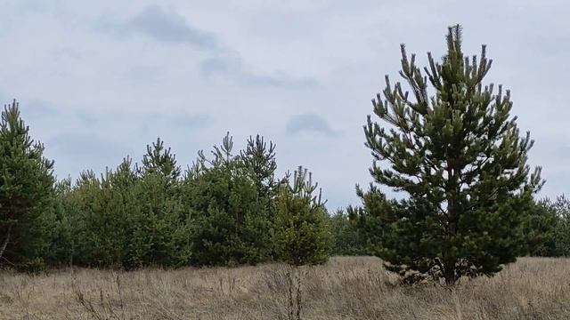 Подарки на Новый год 2022 . Какие подарки дарить нельзя. Они привлекут беды и несчастья. смотреть онлайн