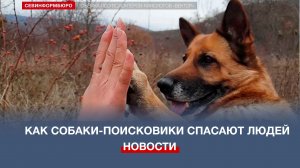Друг человека: в отряде «Вектор» показали, как собаки спасают людей