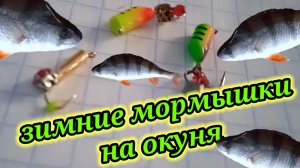 Мормышки  ☝ для Ловли Окуня Зимой