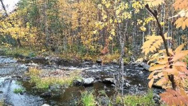 Поход на Яхте Белое море 2020 Переход Чупа - Соностров