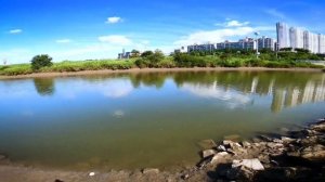 Рыбалка с рогатки как попасть в рыбу на первой же охоте-Она это сделала!