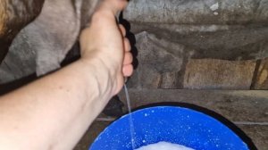 новенькие козы , дойка альпийских коз