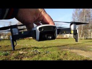 С жужей за соломой лайкам