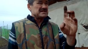 Т 40 замена резинок в гбц   Фильтр  гидравлики..