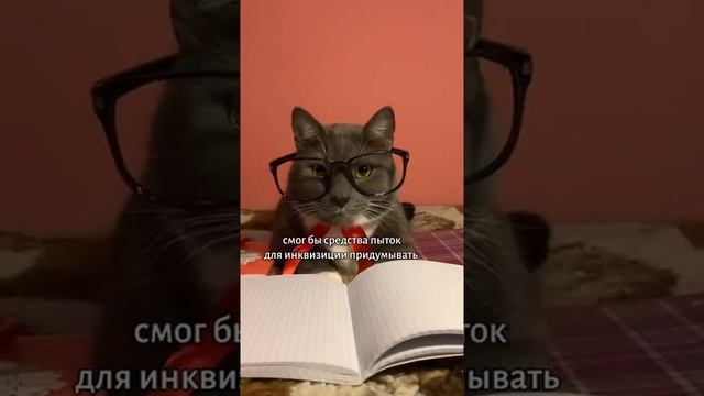 Учитель котик ?