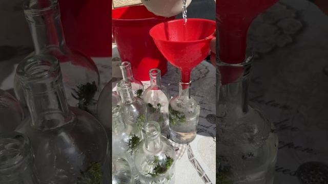 Напиток для души ??? смотреть онлайн