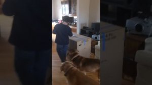 Big brother surprises little brother