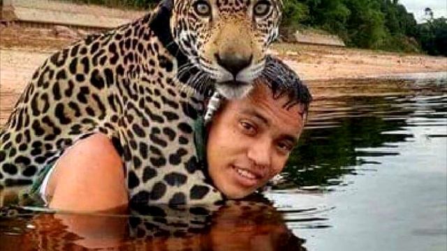 Ягуар тонет в потоке воды, внезапно замечает мужчину, и делает то, от чего у людей пробежали мурашк смотреть онлайн