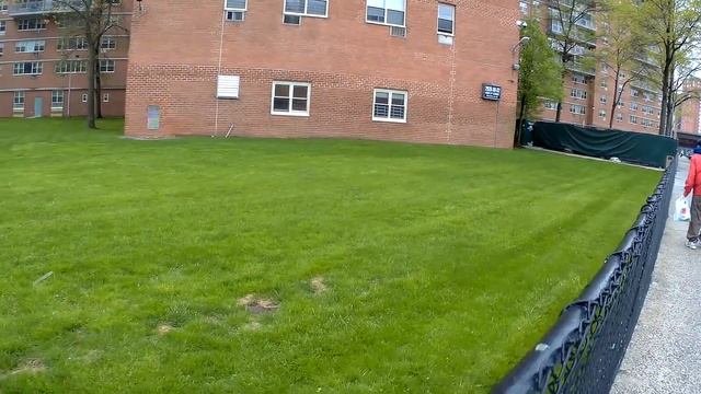 Обзор площадок для выгула собак в Нью-Йорке. смотреть онлайн