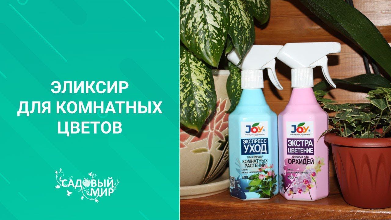 Натуральный живительный эликсир для комнатных цветов. Буйство красок и быстрый рост. смотреть онлайн
