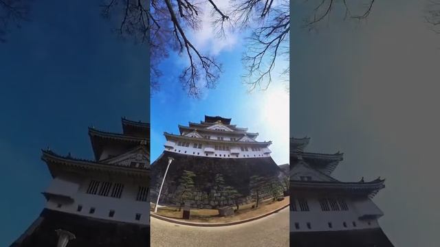 Osaka Castle #osakajapan #osaka #osakacastle #japan #japantravel #insta360x3 #insta360