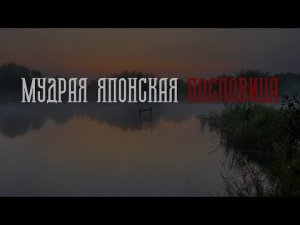 Мудрая Японская пословица, которая поможет в трудную минуту