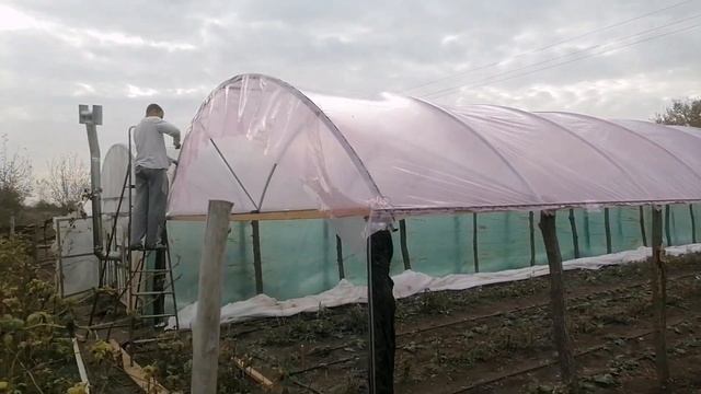 Бюджетная теплица 5 на 25, как заработать денег! смотреть онлайн