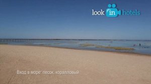 Jaz Mirabel Park Resort 5* (Джаз Мирабель Парк Резорт) - Sharm El Sheikh, Egypt