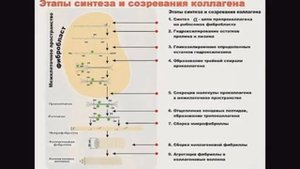 Мороженое Пломбир Без сливок, без Варки за 3 минуты и 2 компонента. До такого не додумаешься