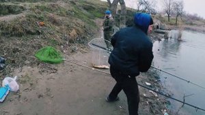 огромные сазаны в январе сангиши