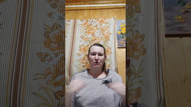 13 декабря 2023 г. смотреть онлайн