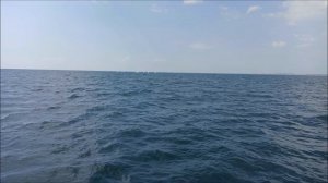 Люблю (Русская версия Je t'aime) - кавер